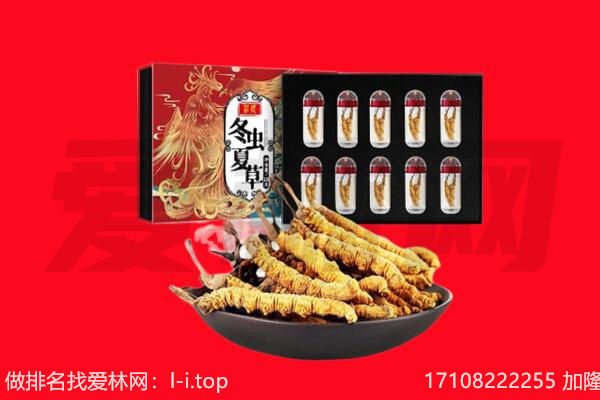 遵义市务川回收虫草.jpg